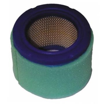 Cummins Onan Gasoline/LP 140-2379 Generator Air Filter